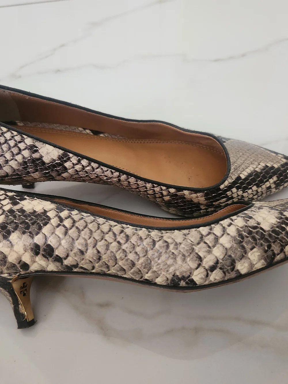 Tory Burch Women's Snake-Print Pointed Toe Pumps in Neutral